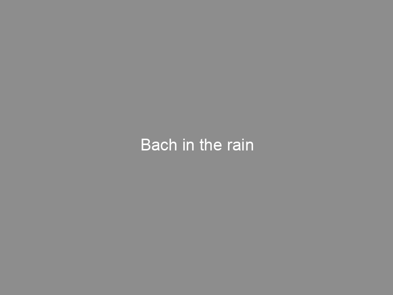 Bach in the rain