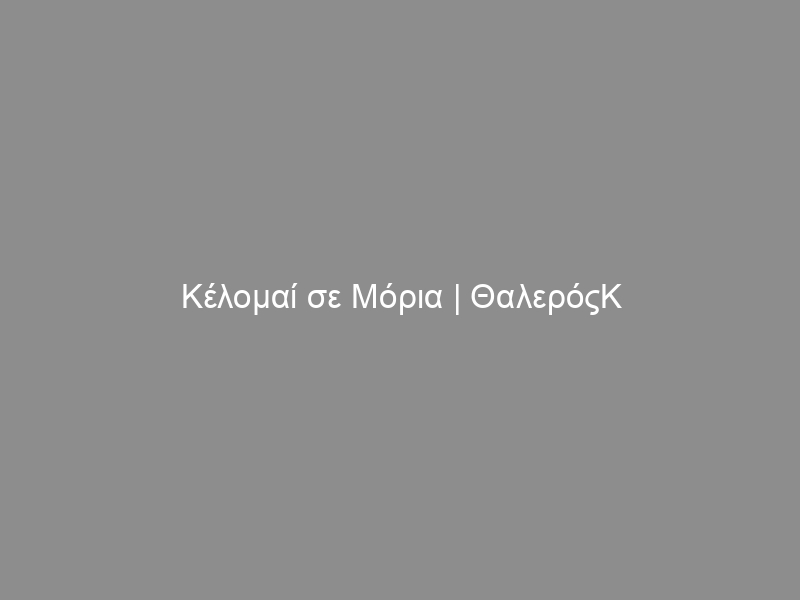 Κέλομαί σε Μόρια | ΘαλερόςΚ