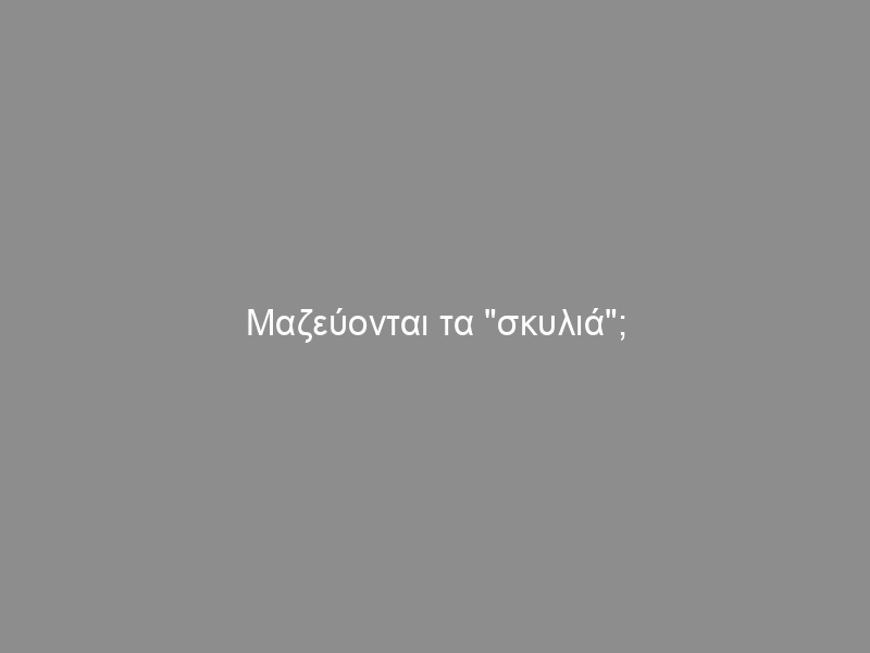 Μαζεύονται τα “σκυλιά”; (βίντεο με τα κατορθώματά τους)